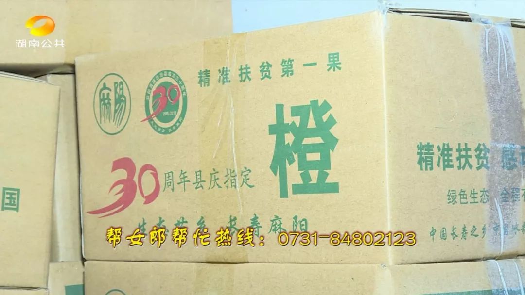 麻阳冰糖橙老人,怀化老人卖橙子