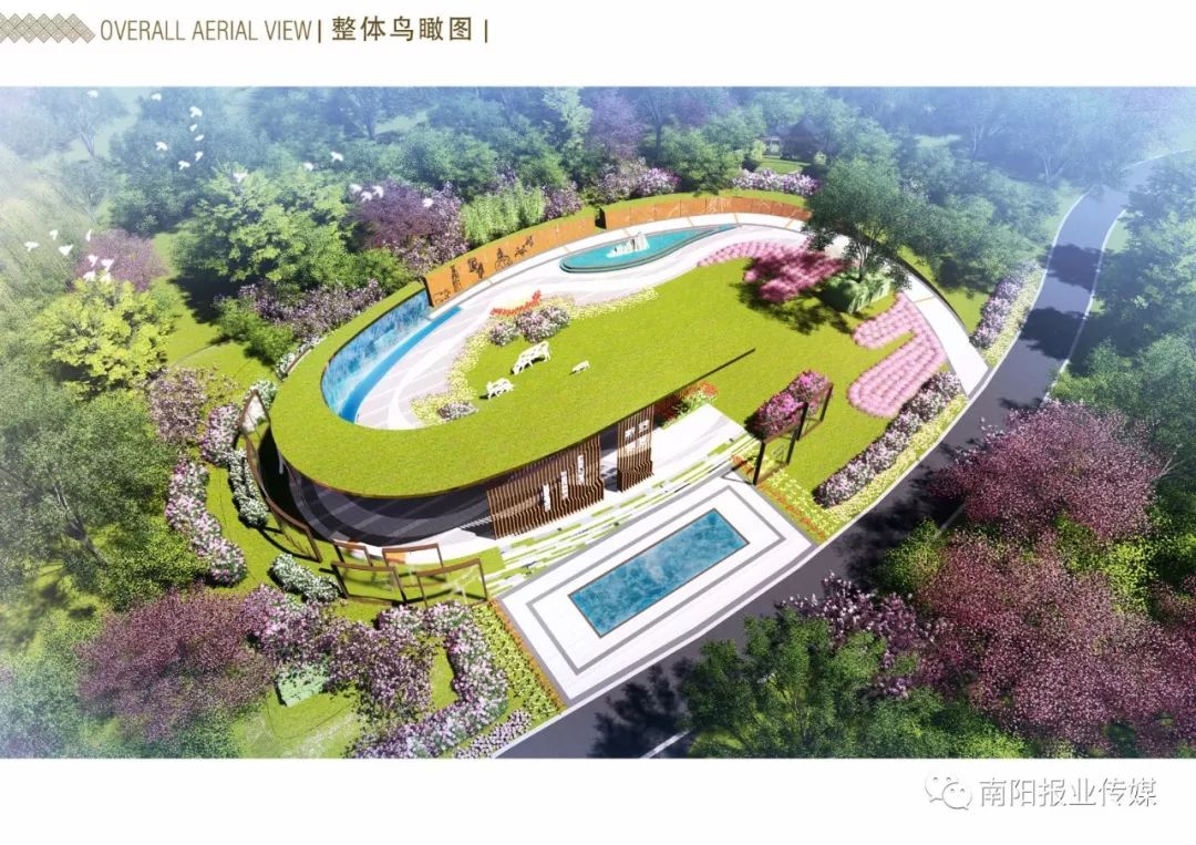 南阳所有的月季园,南阳最美月季园