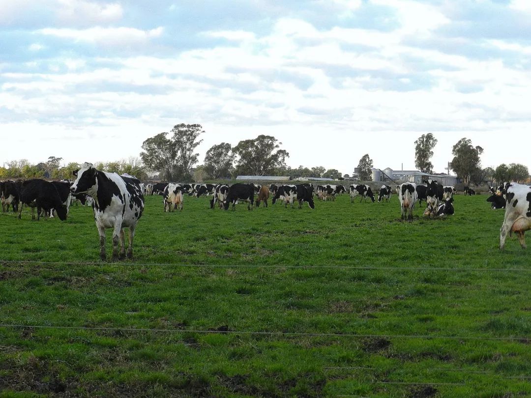 一条生活馆产品,一条生活馆成都店