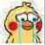 国家正式出手！我朋友圈里的代购们都疯了，全部变成了灵魂画手……