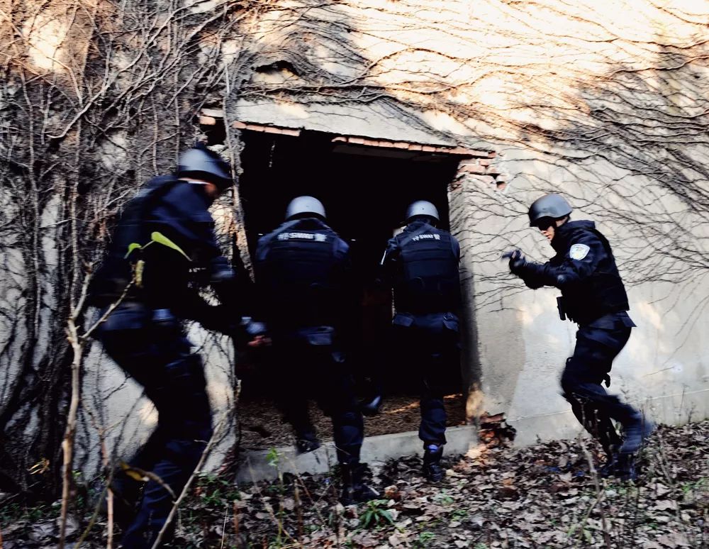 巡特警大练兵实战视频,上海金山分局特警冬季大练兵