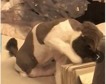 每日一笑你怎么知道的,每日一笑差距