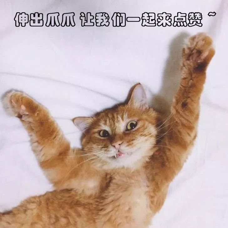 每日一笑你怎么知道的,每日一笑差距