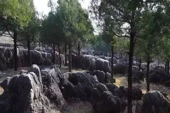 邳州枫彩漫城未来规划,枫彩漫城景区