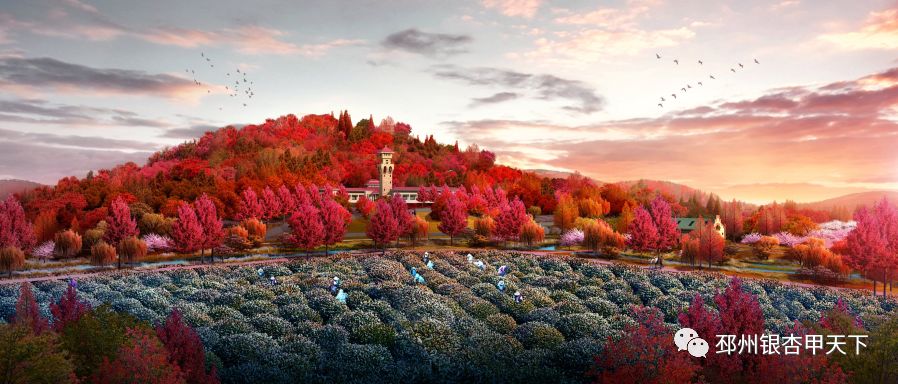 邳州枫彩漫城未来规划,枫彩漫城景区