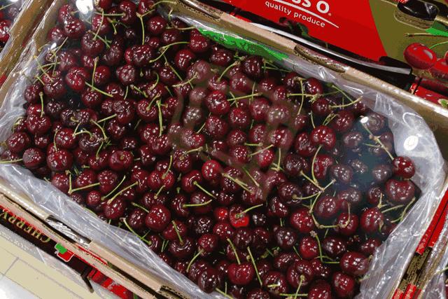 赣州车厘子最新官方消息,赣州产车厘子