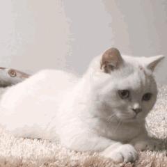 用纳米科技打造的钢铁侠战衣,发明钢铁侠战衣