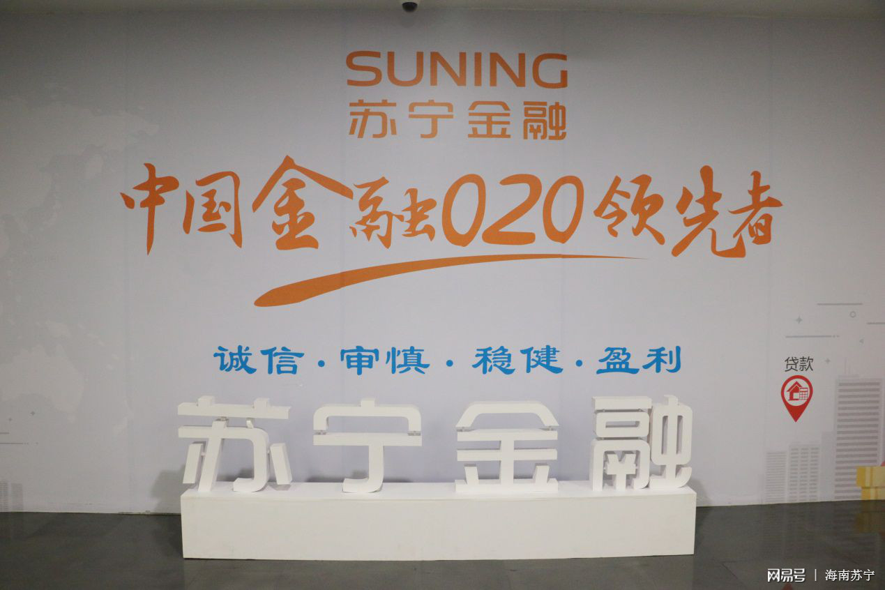 鑻忓畞閫嗗娍鍓嶈2019,2018鑻忓畞鐩堝埄鑳藉姏鍒嗘瀽