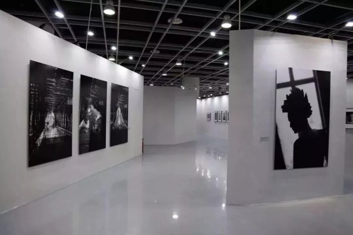 闪电麦昆的视频,麦昆现在的消息