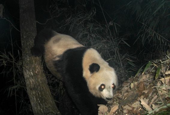 他做了15年自然测量员，只为得到更好的荒野