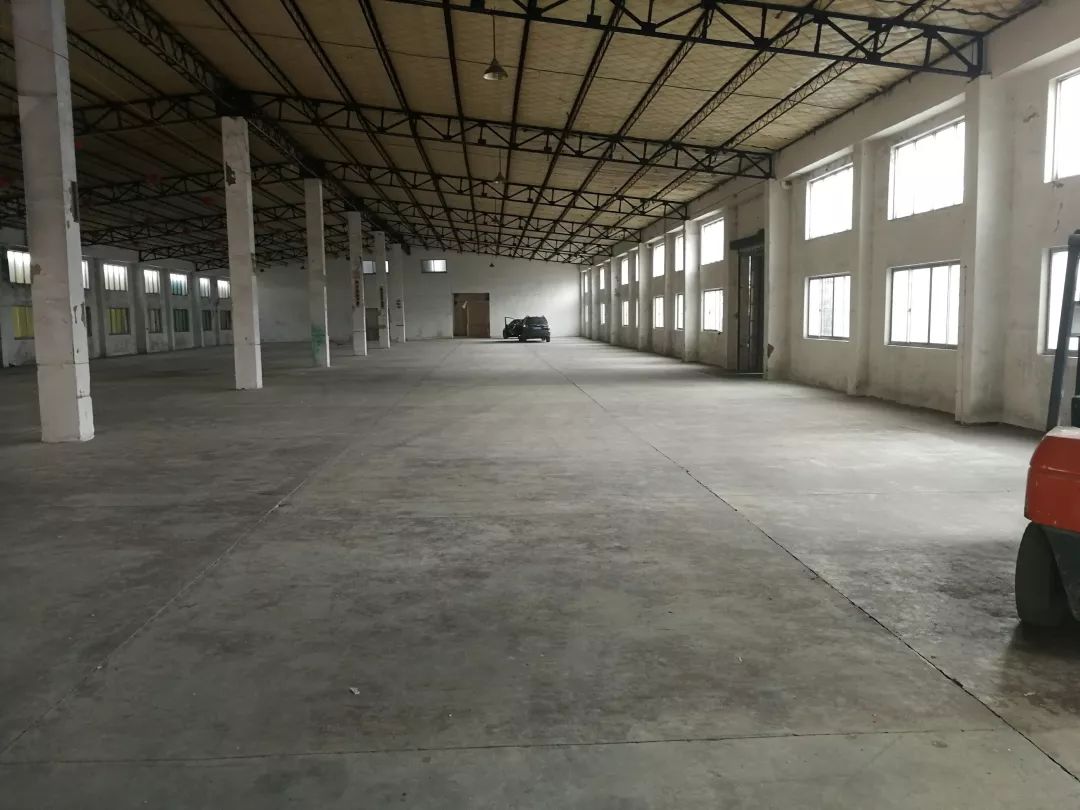 双月攻坚专项行动,每周时政播报