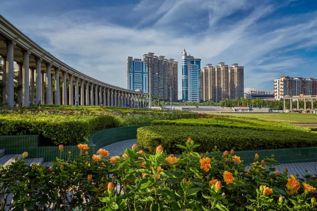 新安、福海、沙井、新桥、燕罗2019年关键词出炉，速度来get！