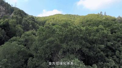 这里是新桥,这里是重庆