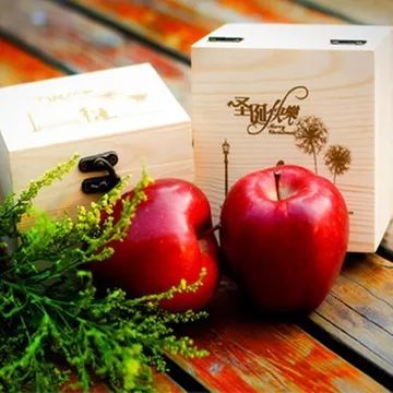 阜阳虐猫事件国外媒体评论,狗虐狗事件