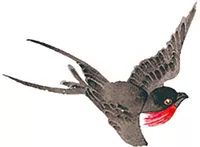 上海风筝大赛,松江举办大型比赛