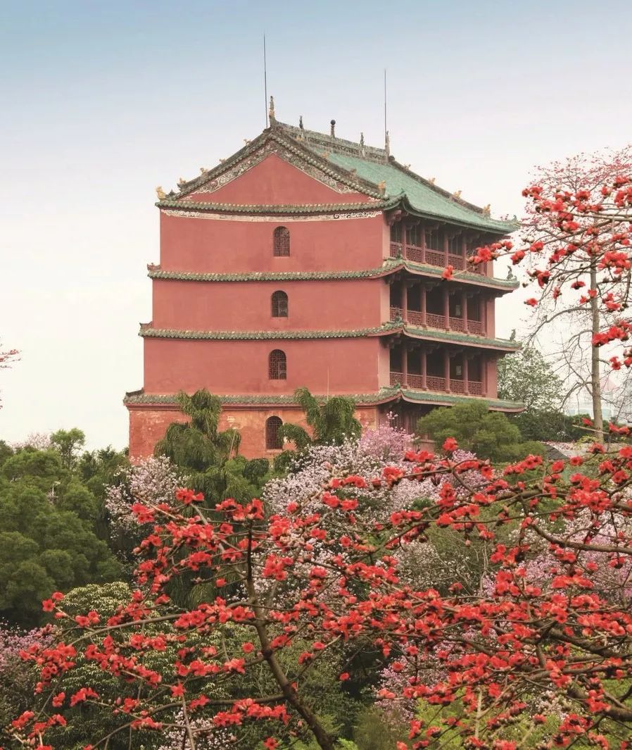 什么是广州市区,什么是桃子女孩