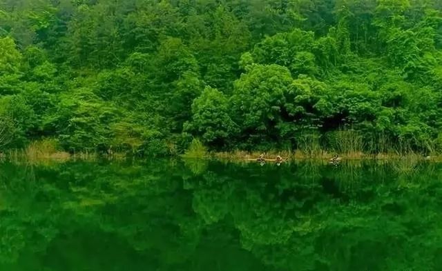 青田先行区发展,侨乡青田最近发展