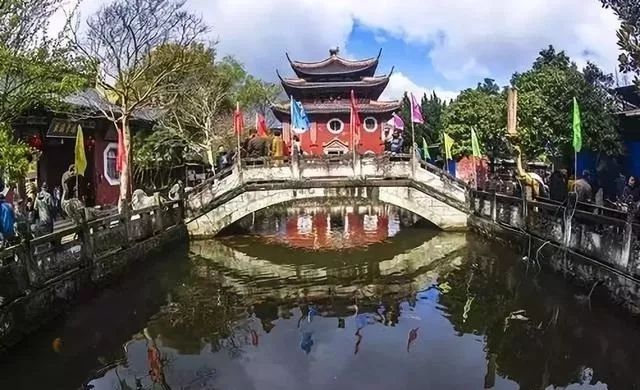 青田省级森林城镇,青田城市环境