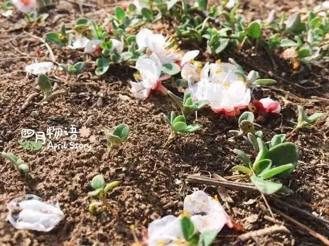 摄影学会了能拍什么,摄影到底应该拍什么