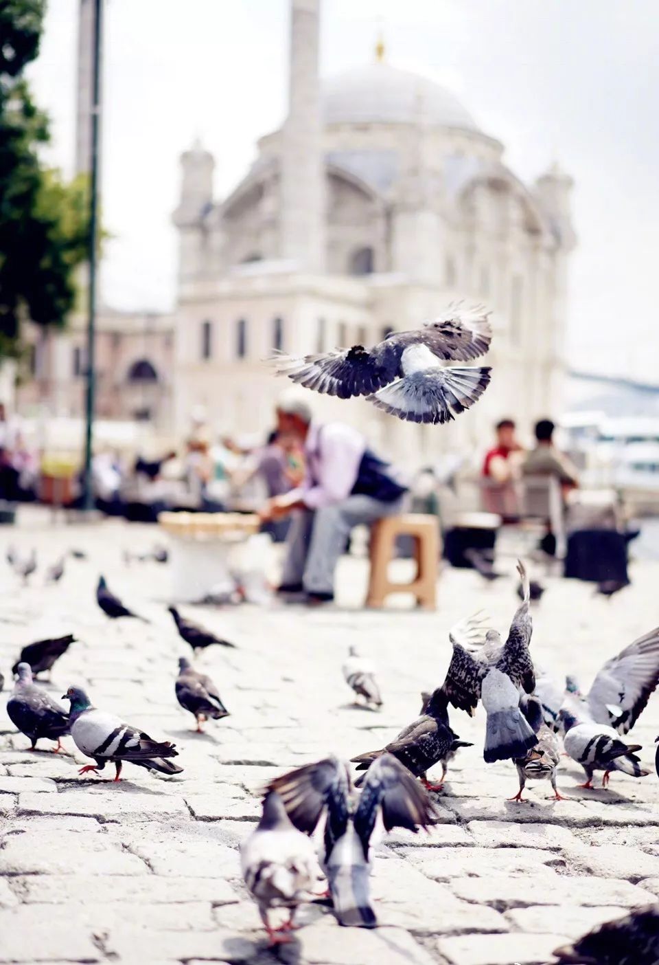 圣诞节绿毛怪格林奇,圣诞节出没的绿毛怪