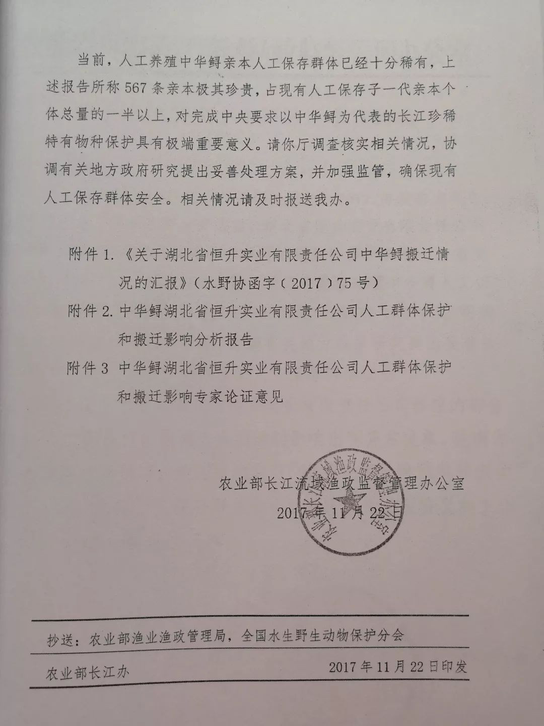 谁杀死了“大鱼”？——生死中华鲟