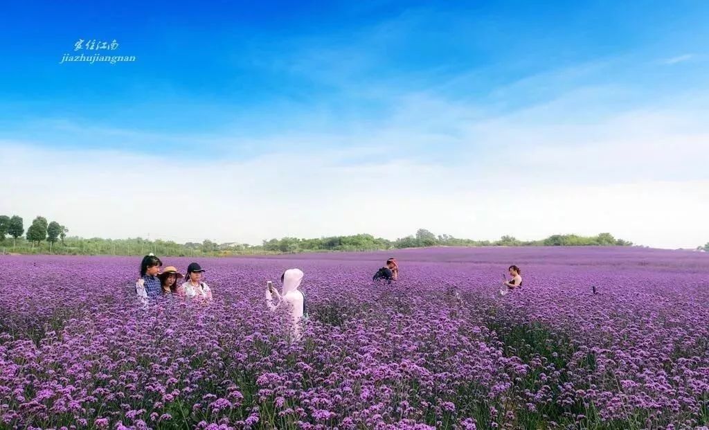 你还不知道乡村旅游吗,你还不知道哪些地方好玩