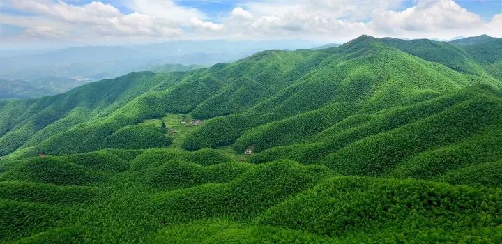 遂川家乡好风光,遂川县有哪些美景