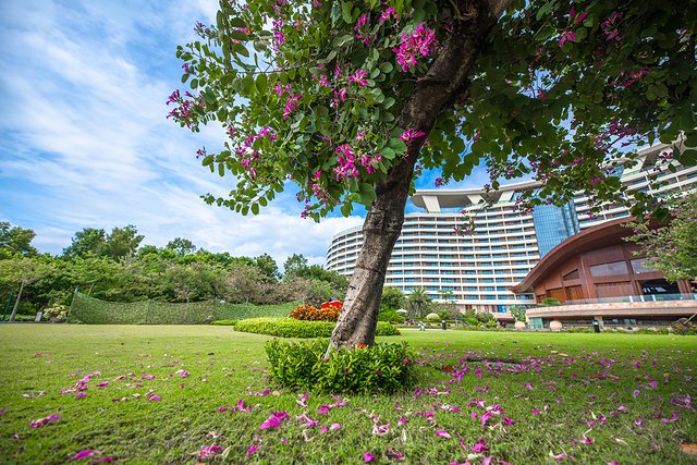 三亚旅游攻略自由行民宿十天,三亚旅行攻略自由行
