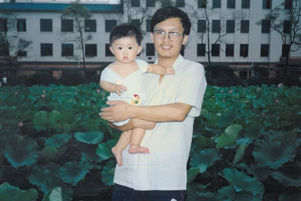 我家的历史,我家的故事摘录