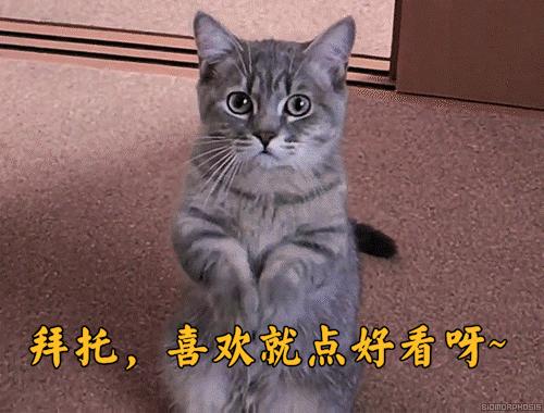 尼康d700拍照讲解,从小木匠到大画家