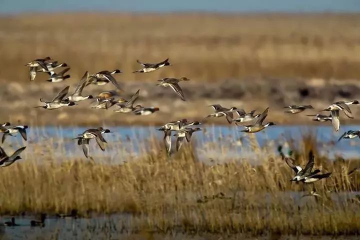 冬天江浙沪一日游必去的景点,上海冬季旅游攻略