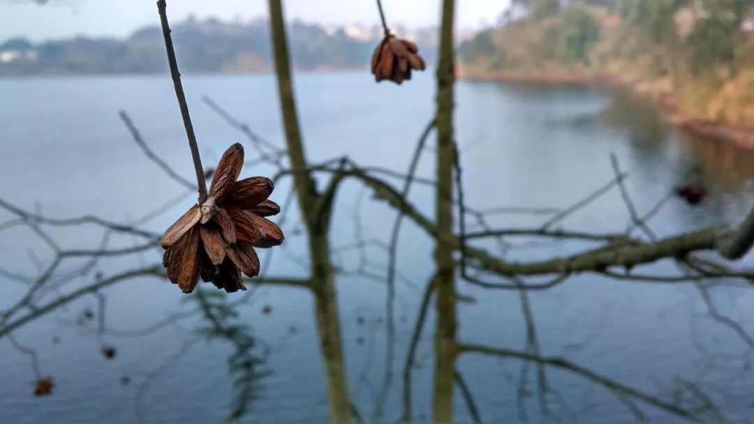 感觉到束缚，想要去抗争，你需要做到这两点