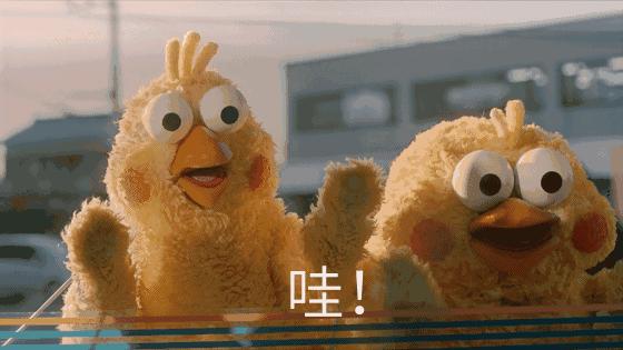 春风送岗位就业暖人心专场招聘会,澧县春风行动招聘会