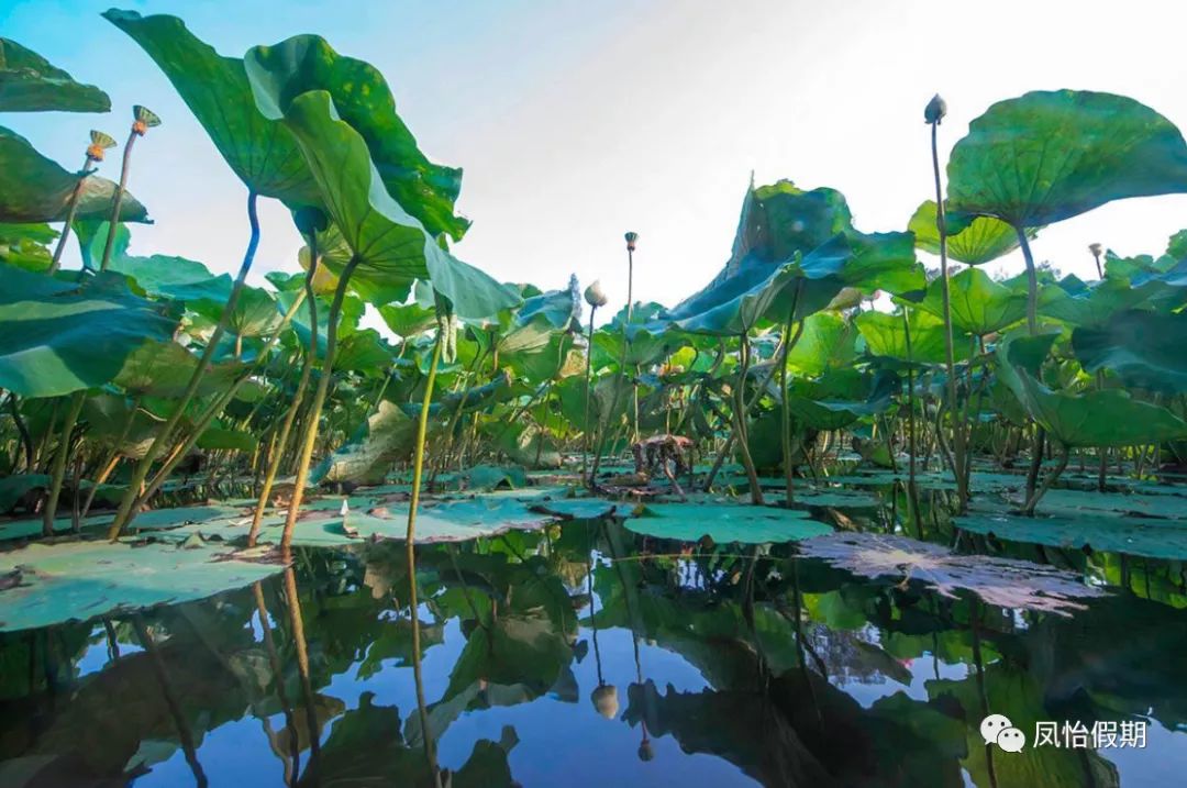 厦门旅游攻略金门必去,厦金旅游