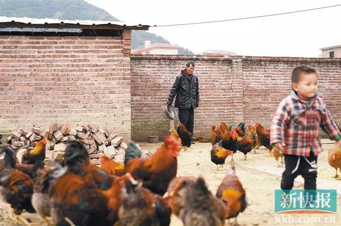 广州佛冈贫困村,广州荔湾帮扶清远连州