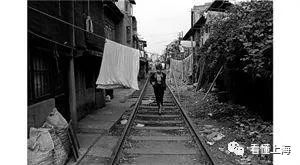 马路道口菱形标志,马路道口鬼探头