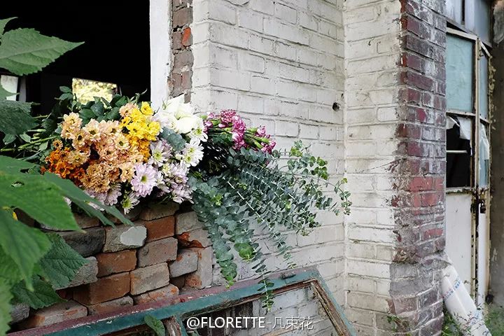 北京才女徐静蕾,徐静蕾李亚鹏北京台