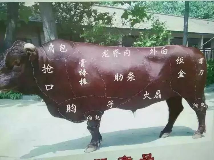 云南寻甸牛干巴做法,舌尖上的云南普洱茶