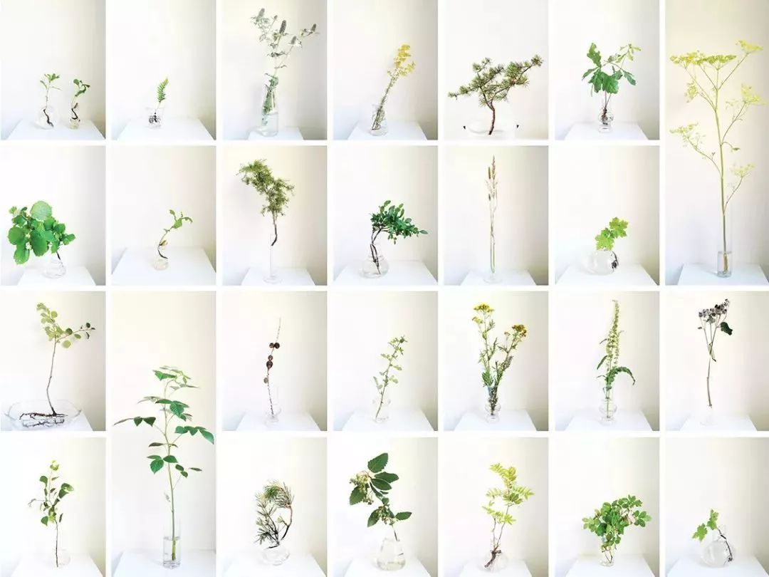 不用羡慕小S坐拥小姐姐花店，全球最美的7家花店还等你去打卡呐~