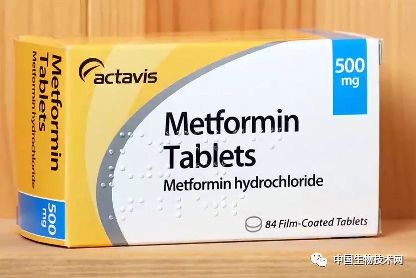 二甲双胍抗新冠病毒,二甲双胍抗肿瘤的研究现状