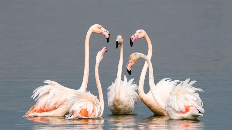 为什么有些人更敬业,敬业的人都有什么特点