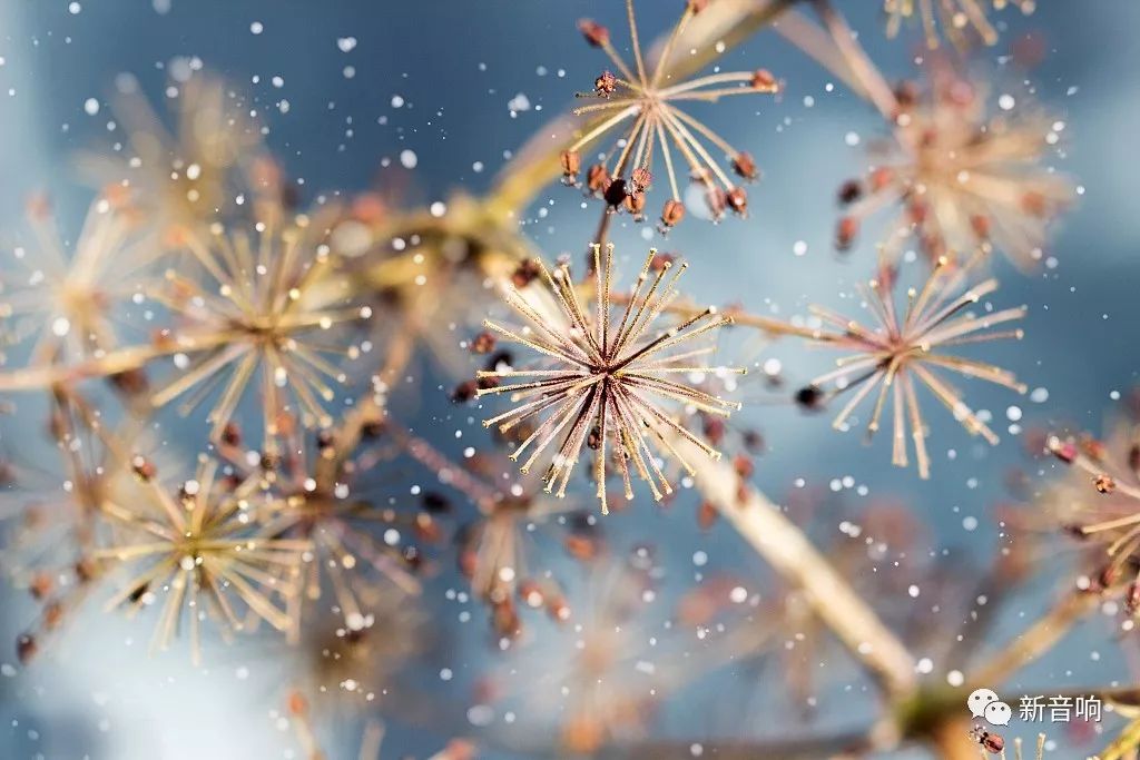 hi-end音响,hi-end音响的要求