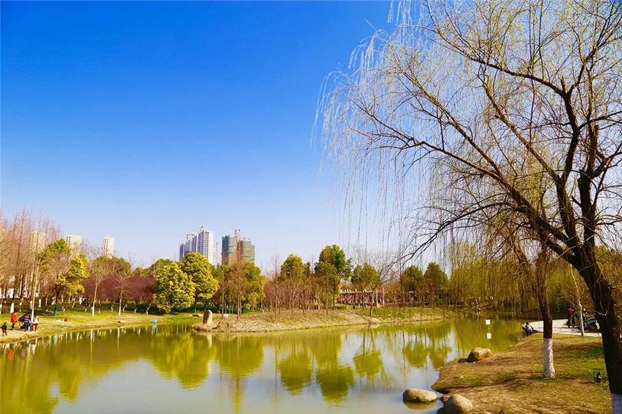 要火！14个阜阳元素接连登上中国舞台，错过的赶紧看回放！