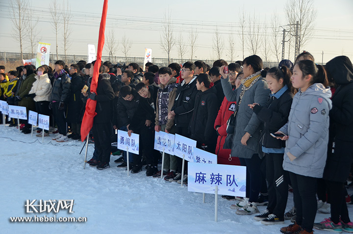 衡水：小雪球带来大乐趣