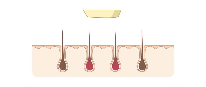 郑恺被何穗拒绝是哪一期,郑恺何穗最新微博