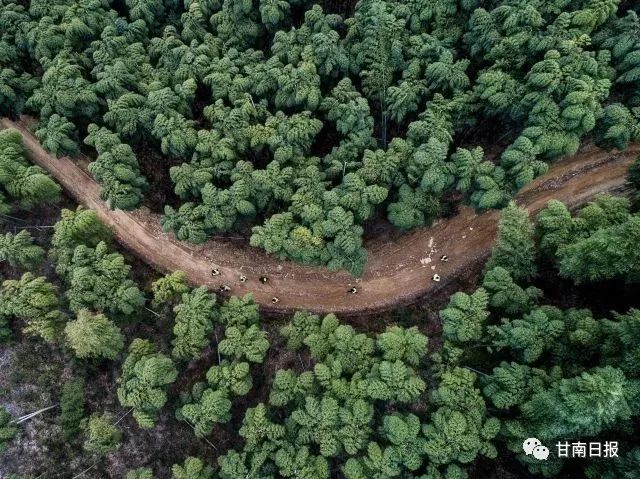 2020年度新华社照片,新华社2018年度图片精选