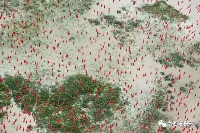 荷赛大奖作品,荷赛2022年获奖作品