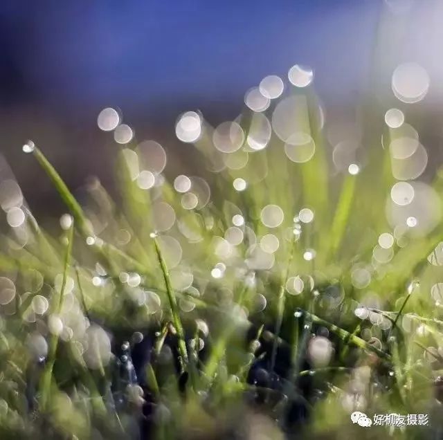 50mm定焦摄影思维,摄影必备的定焦镜头推荐