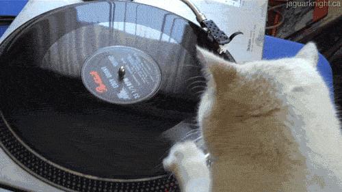 唱机都没有的他们,为什么拼命买黑胶唱片?