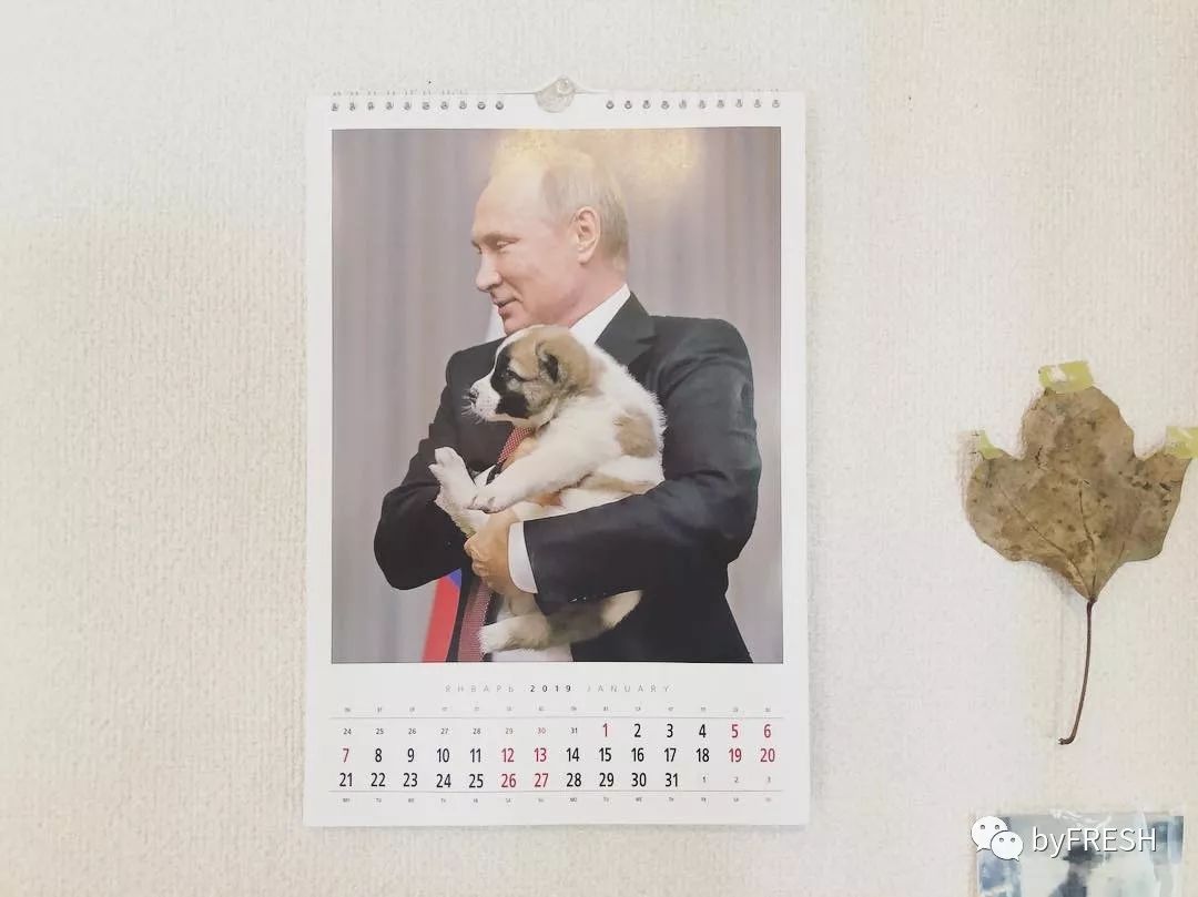 如果买大牌也分段位,那普京就是最强王者